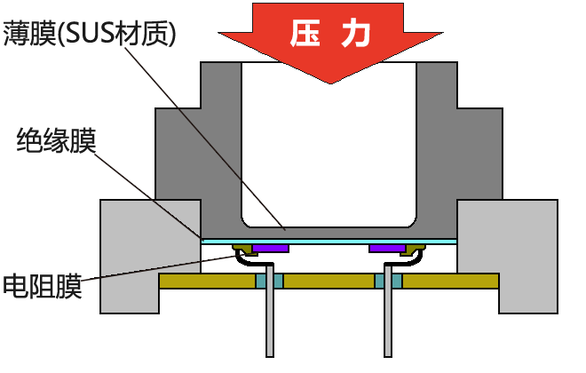 Cross-section of diaphragm_SUS