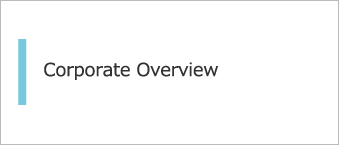 Corporate overview